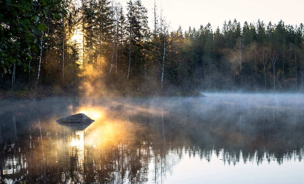 Svensk sjö i höstmorgon